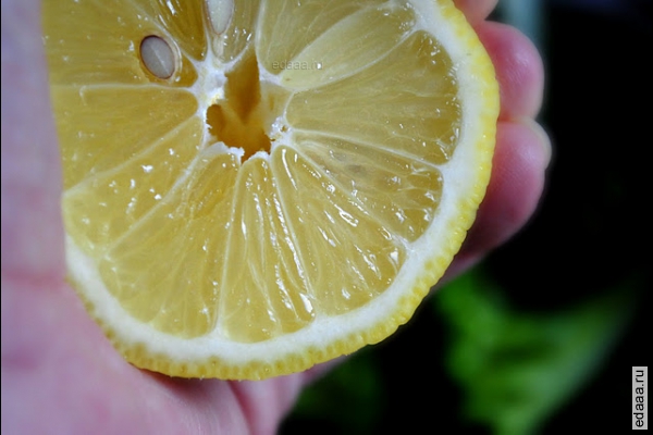 Жареная брокколи с лимоном, чили-чесночным маслом и сыром пармезан