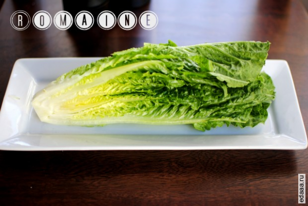 Цезарь Romaine "Клин"