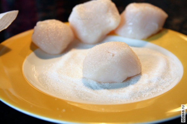 Морские  гребешки