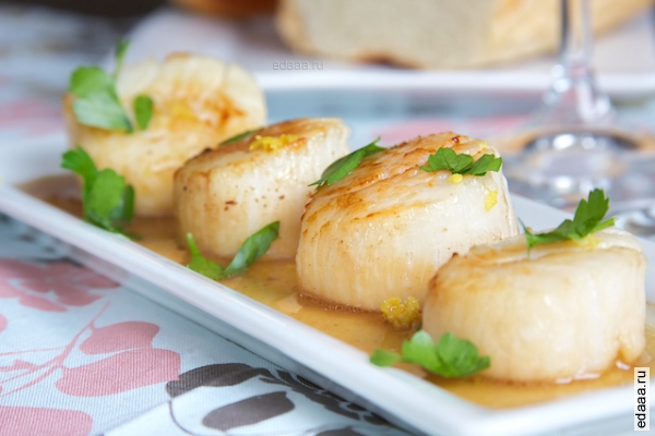 Морские  гребешки