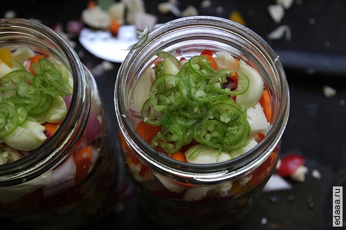 Гиардиниера (Giardiniera)